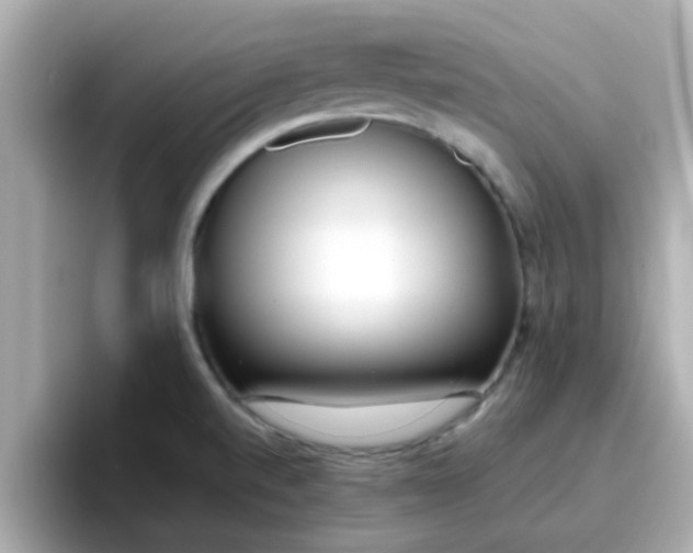 X0000096671520200802121140