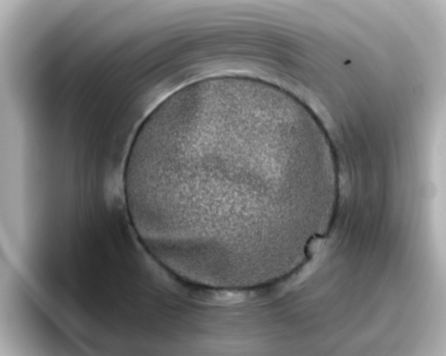 X0000096671521200802121140