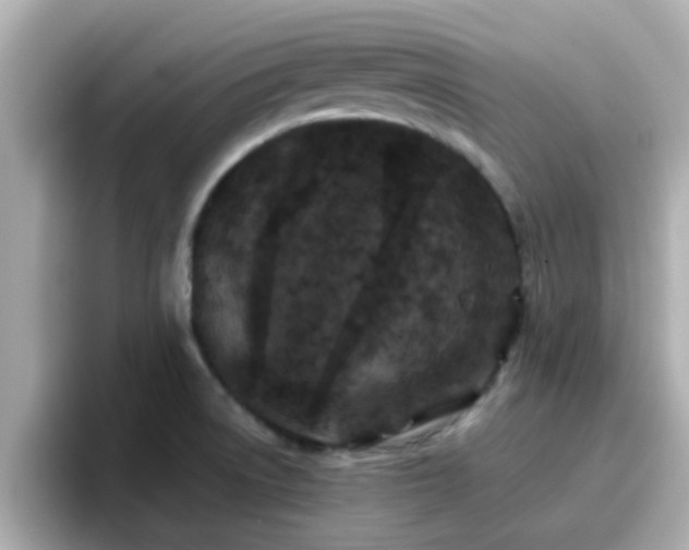 X0000096671522200802121141