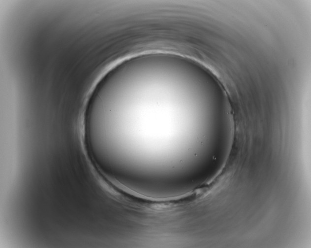 X0000096671523200802121141