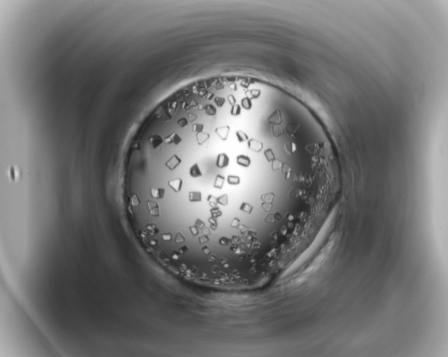 X0000096671525200802121141