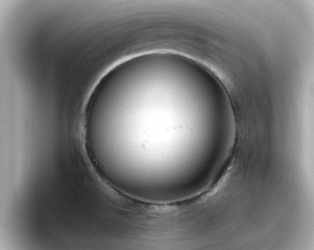 X0000096671526200802121141