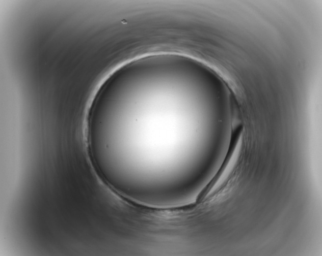 X0000096671527200802121141