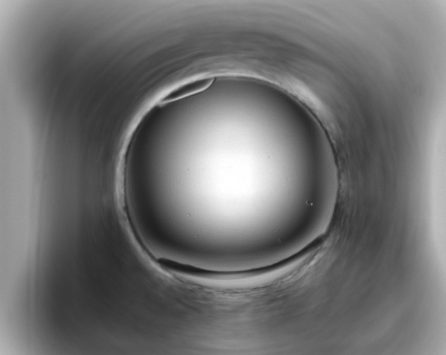 X0000096671528200802121141