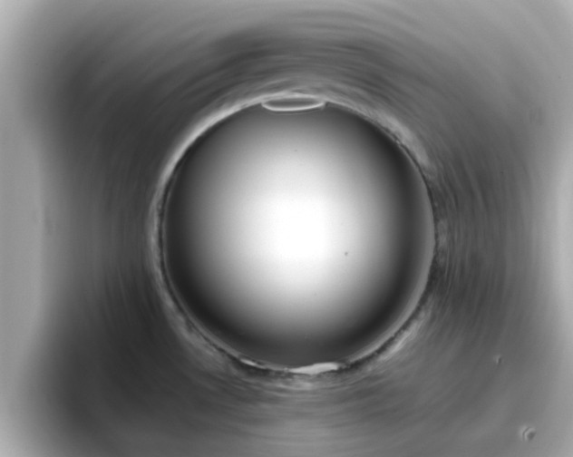 X0000096671530200802121141