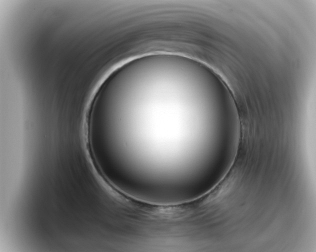 X0000096671531200802121141