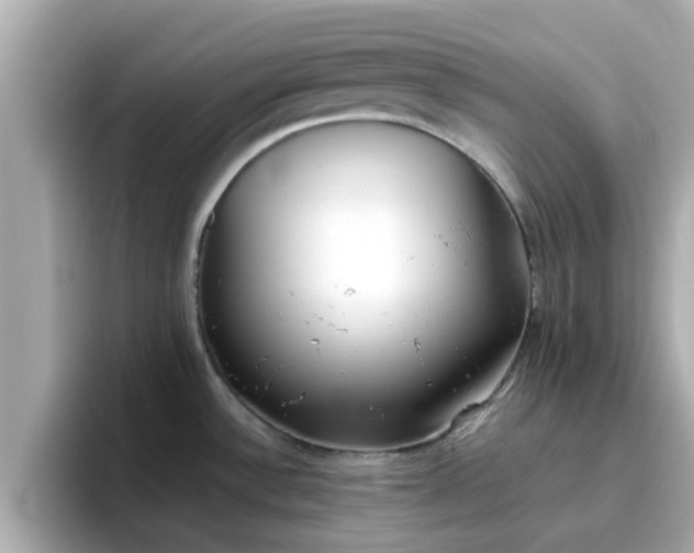X0000096671532200802121141