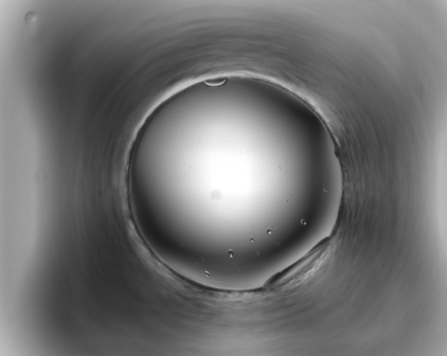 X0000096671534200802121141