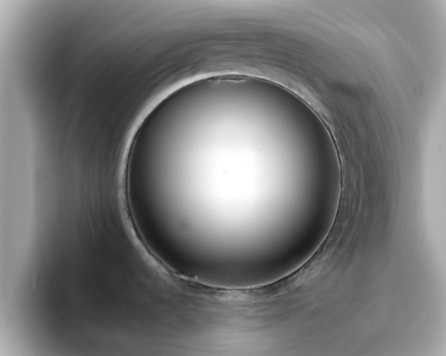 X0000096671536200802121141