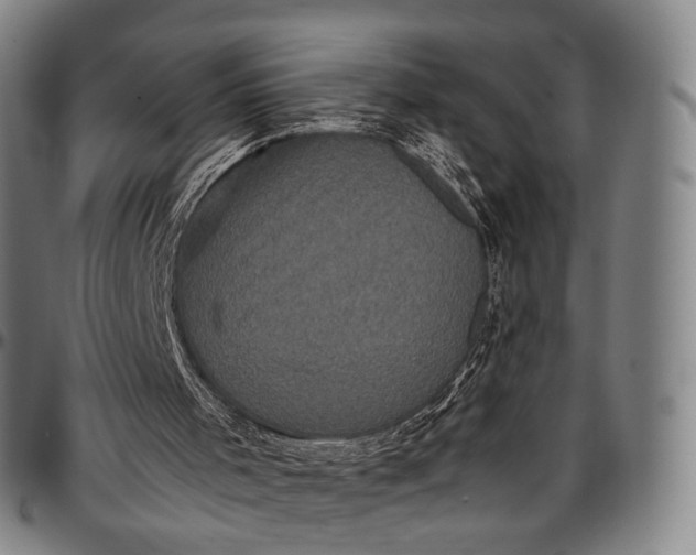 X0000096670001200802191340