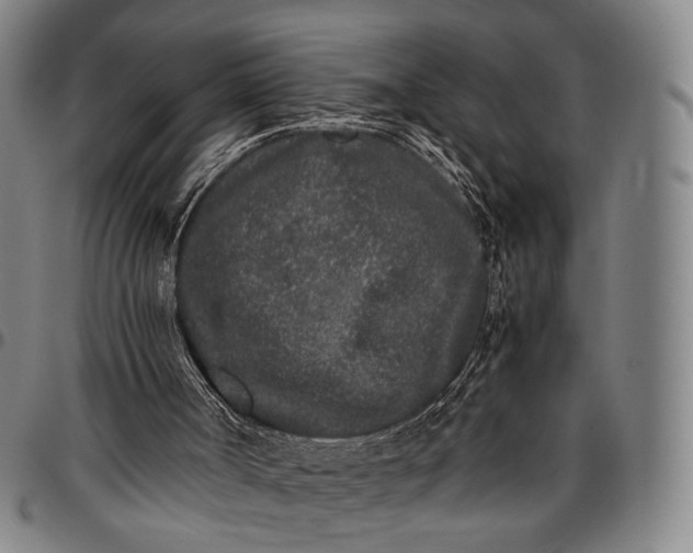 X0000096670002200802191340