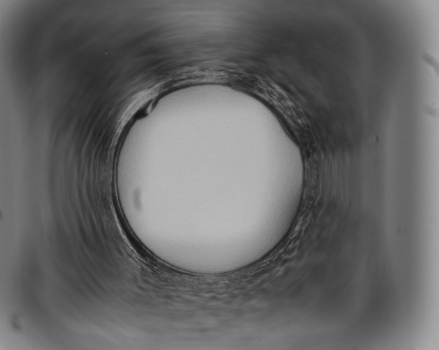 X0000096670003200802191340