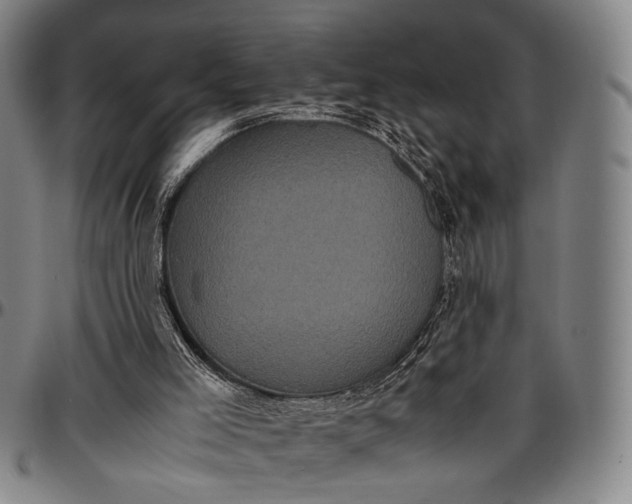 X0000096670005200802191340