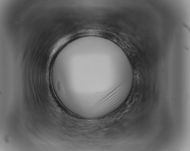 X0000096670006200802191340