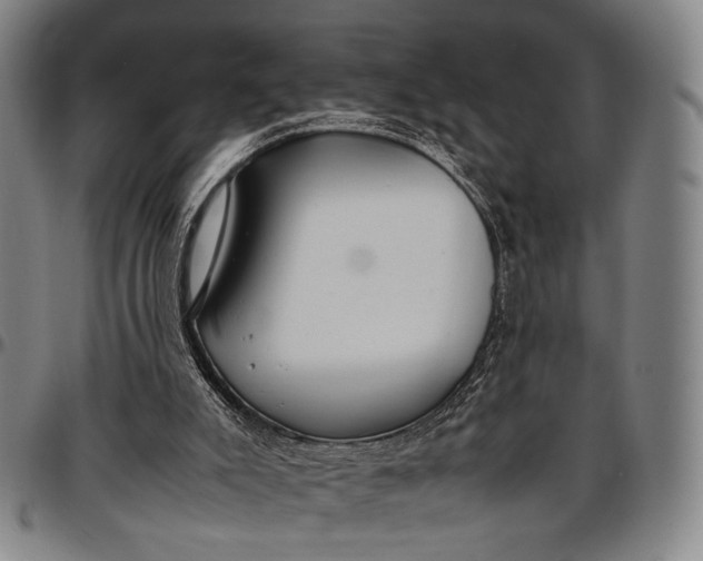 X0000096670007200802191340