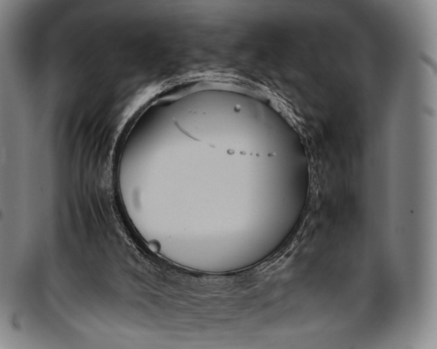 X0000096670008200802191340