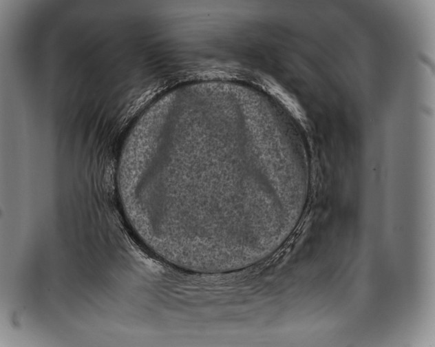 X0000096670009200802191340