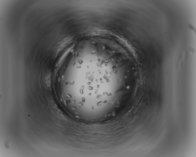 X0000096670010200802191340