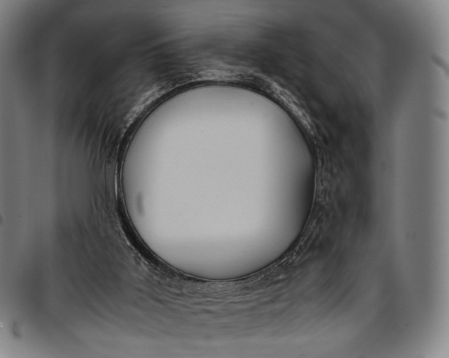 X0000096670011200802191340