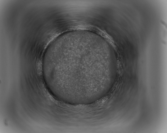 X0000096670012200802191340