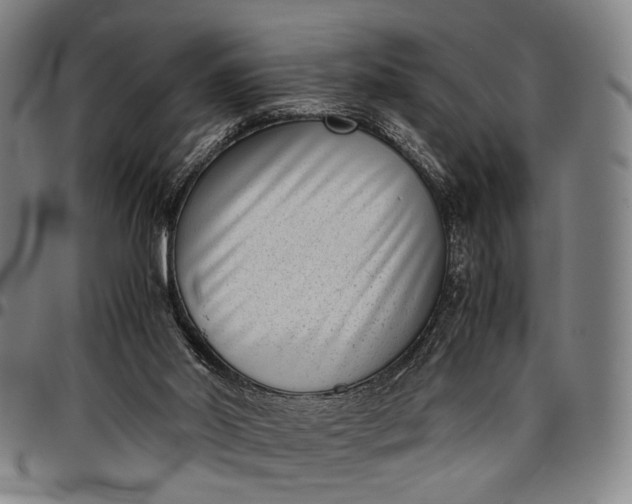 X0000096670014200802191340