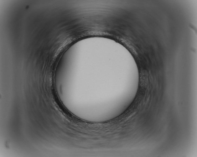 X0000096670015200802191340