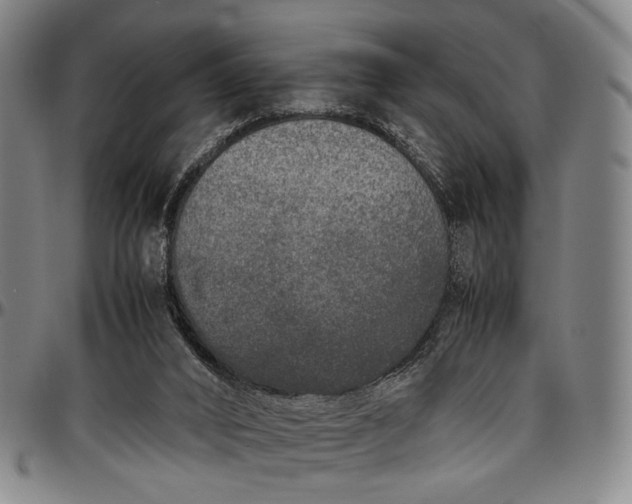 X0000096670016200802191340