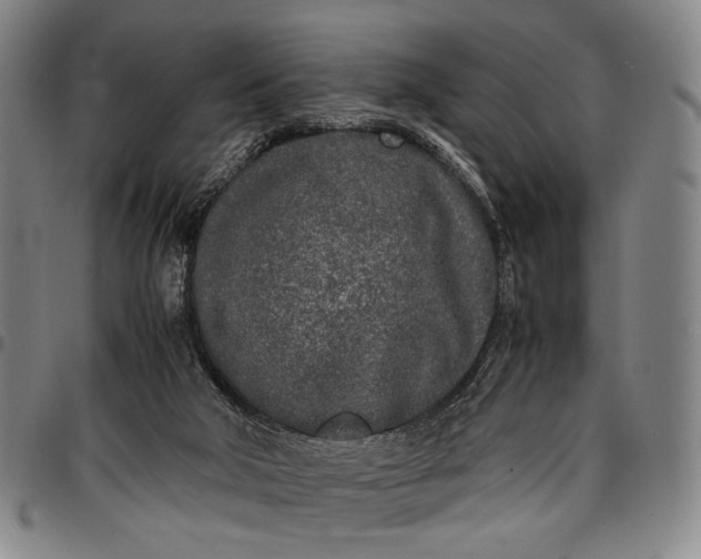 X0000096670018200802191340