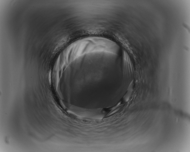 X0000096670019200802191340