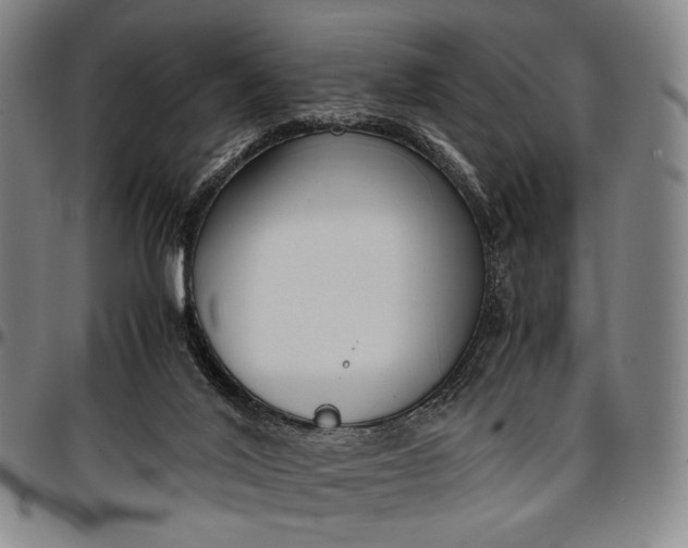 X0000096670020200802191340