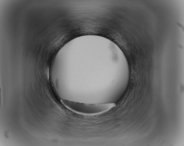 X0000096670021200802191340