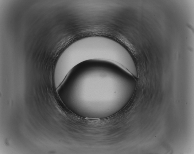 X0000096670022200802191340