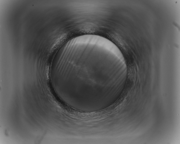 X0000096670023200802191340