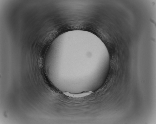 X0000096670025200802191340