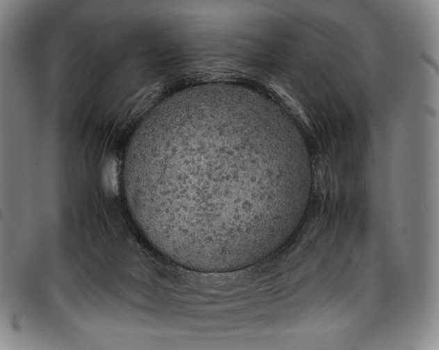 X0000096670026200802191340