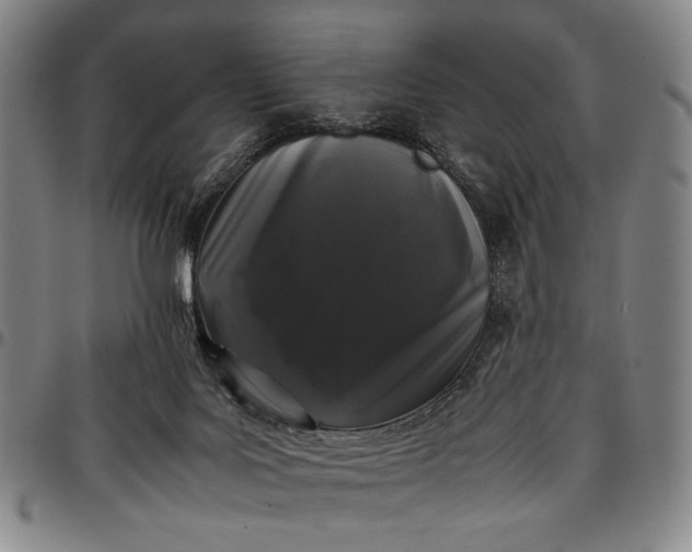 X0000096670027200802191340