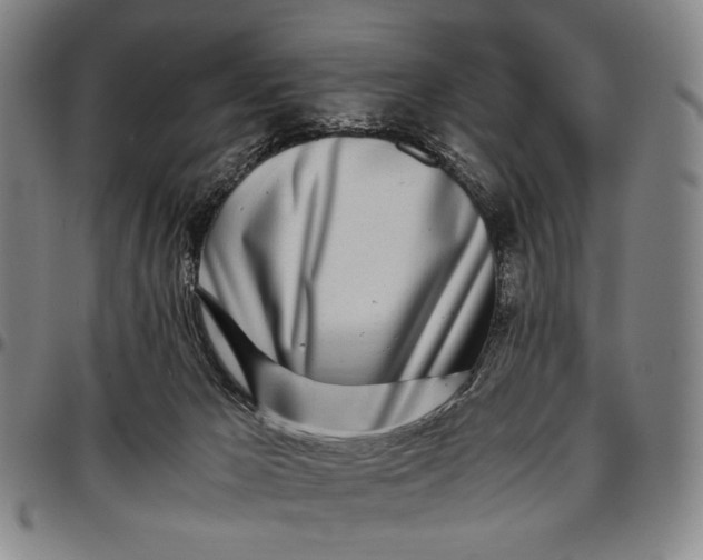 X0000096670029200802191340