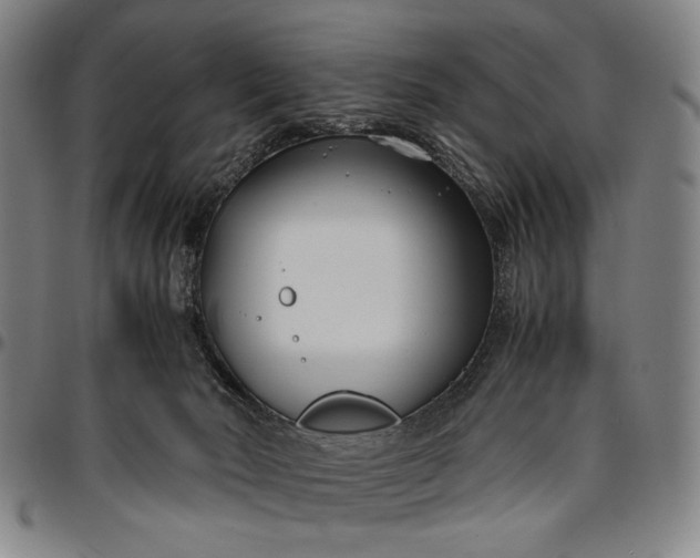 X0000096670030200802191340