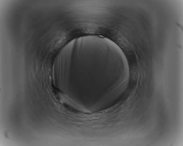 X0000096670031200802191340