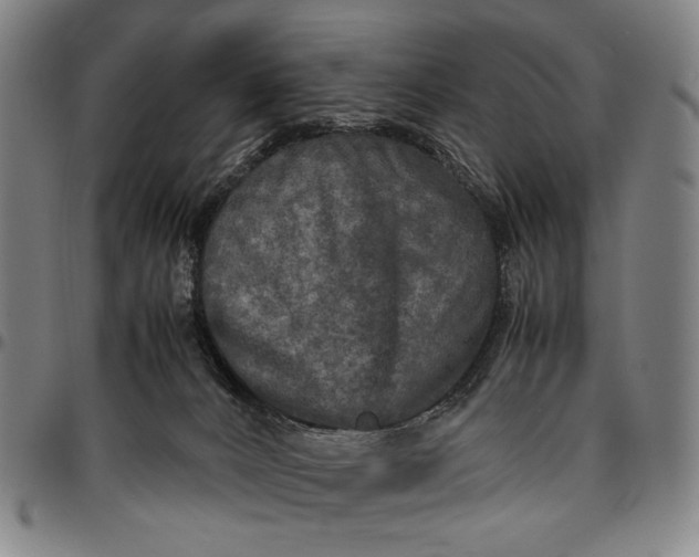 X0000096670032200802191340