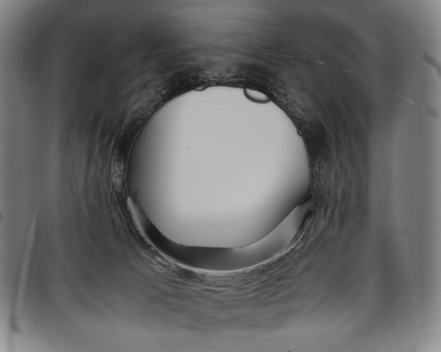 X0000096670033200802191340