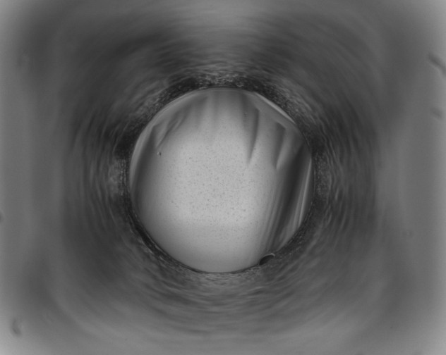 X0000096670034200802191340