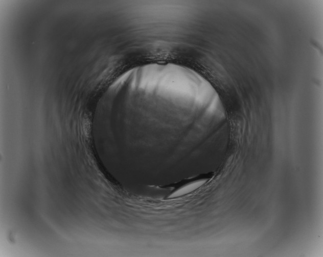 X0000096670035200802191340