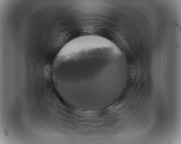 X0000096670036200802191340