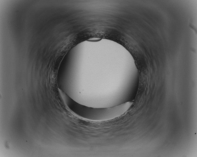 X0000096670037200802191340