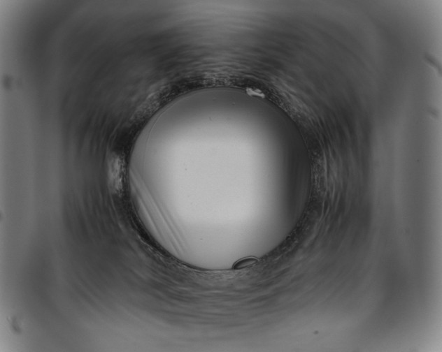 X0000096670038200802191340