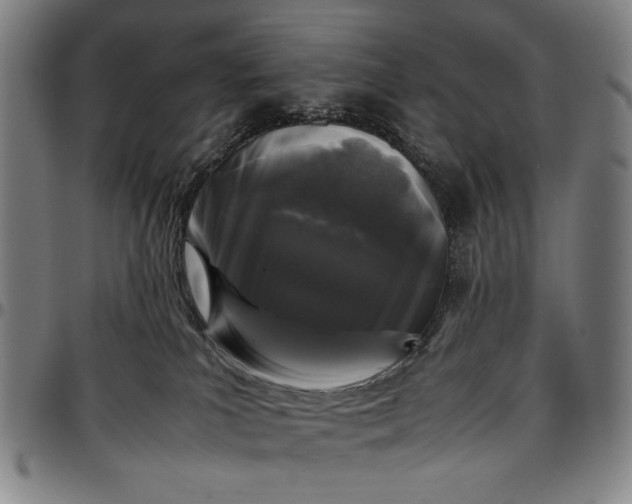 X0000096670039200802191340