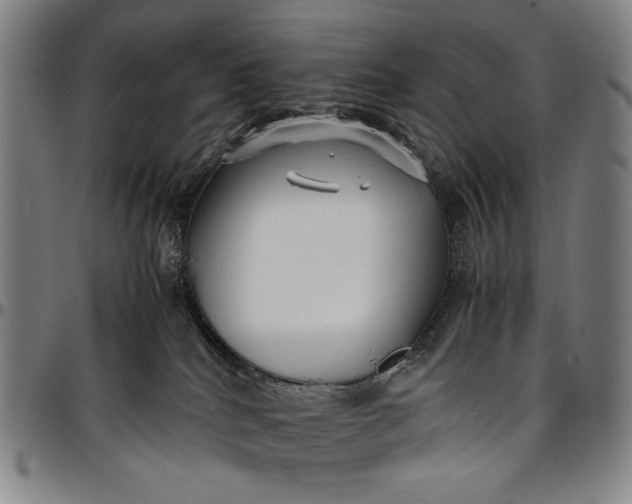 X0000096670040200802191339