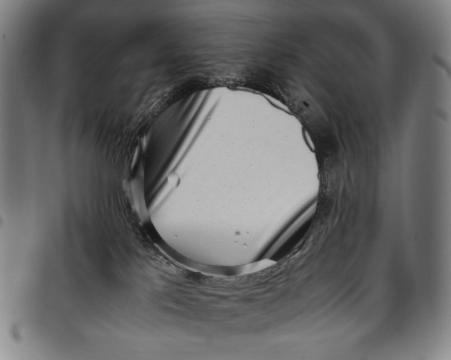 X0000096670041200802191339