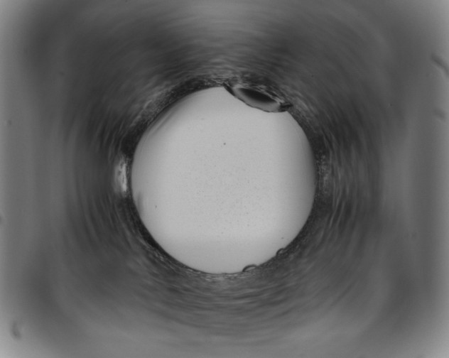 X0000096670042200802191339